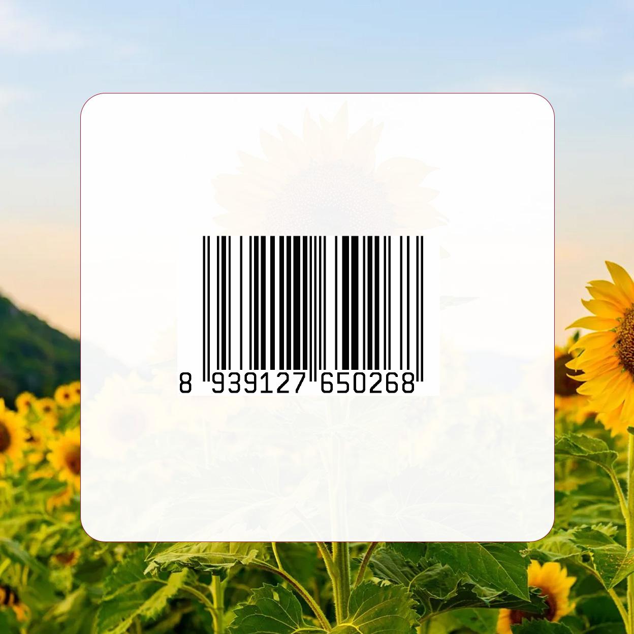 Sunflower Seeds thumbnail 2