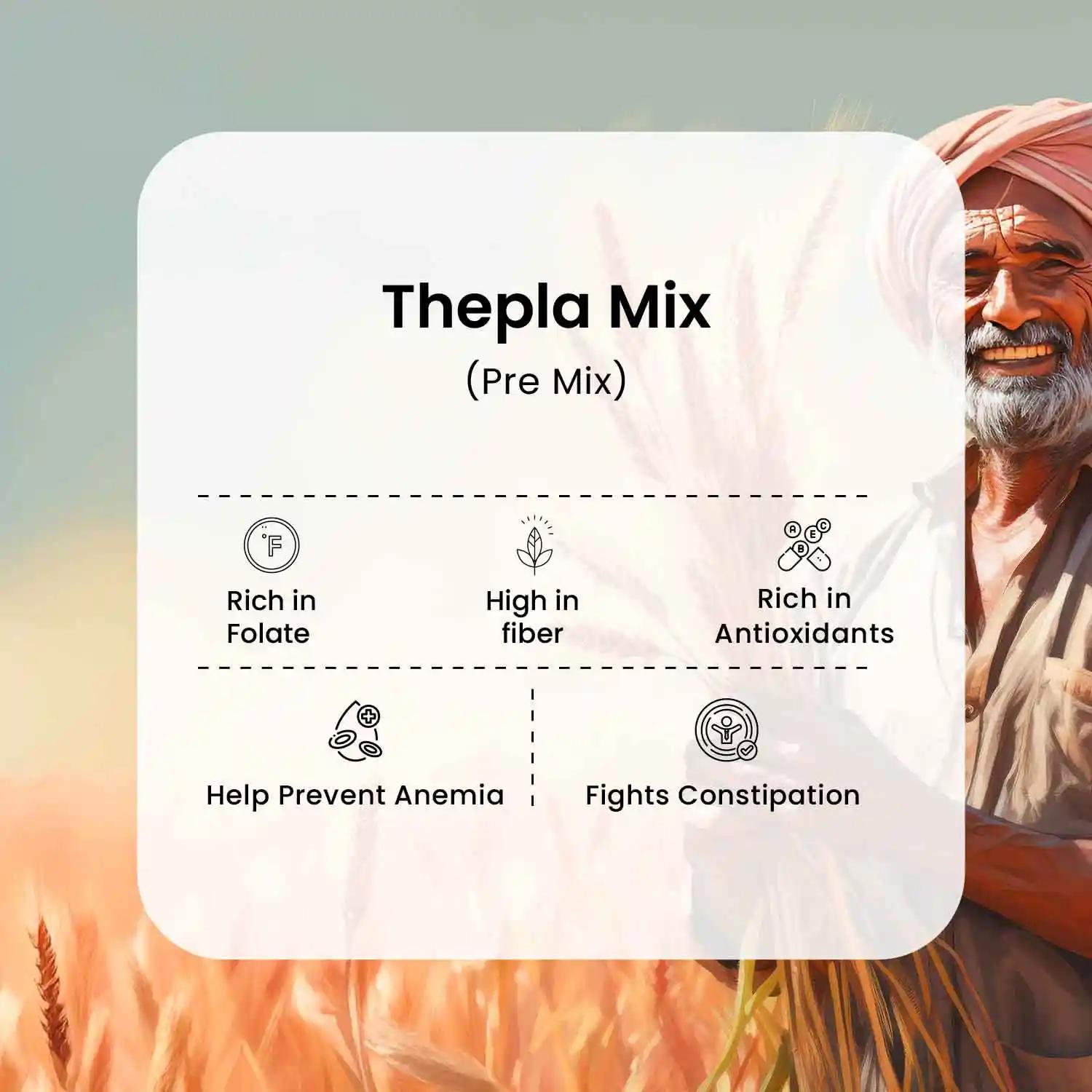Gujarati Thepla Premix thumbnail 5