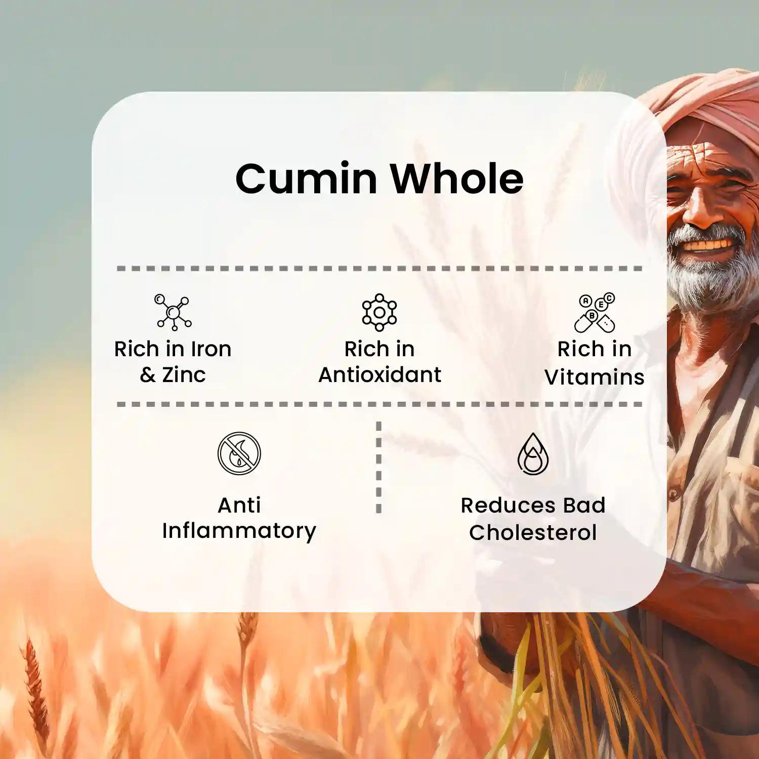Cumin/Jeera Whole - 100gms thumbnail 5