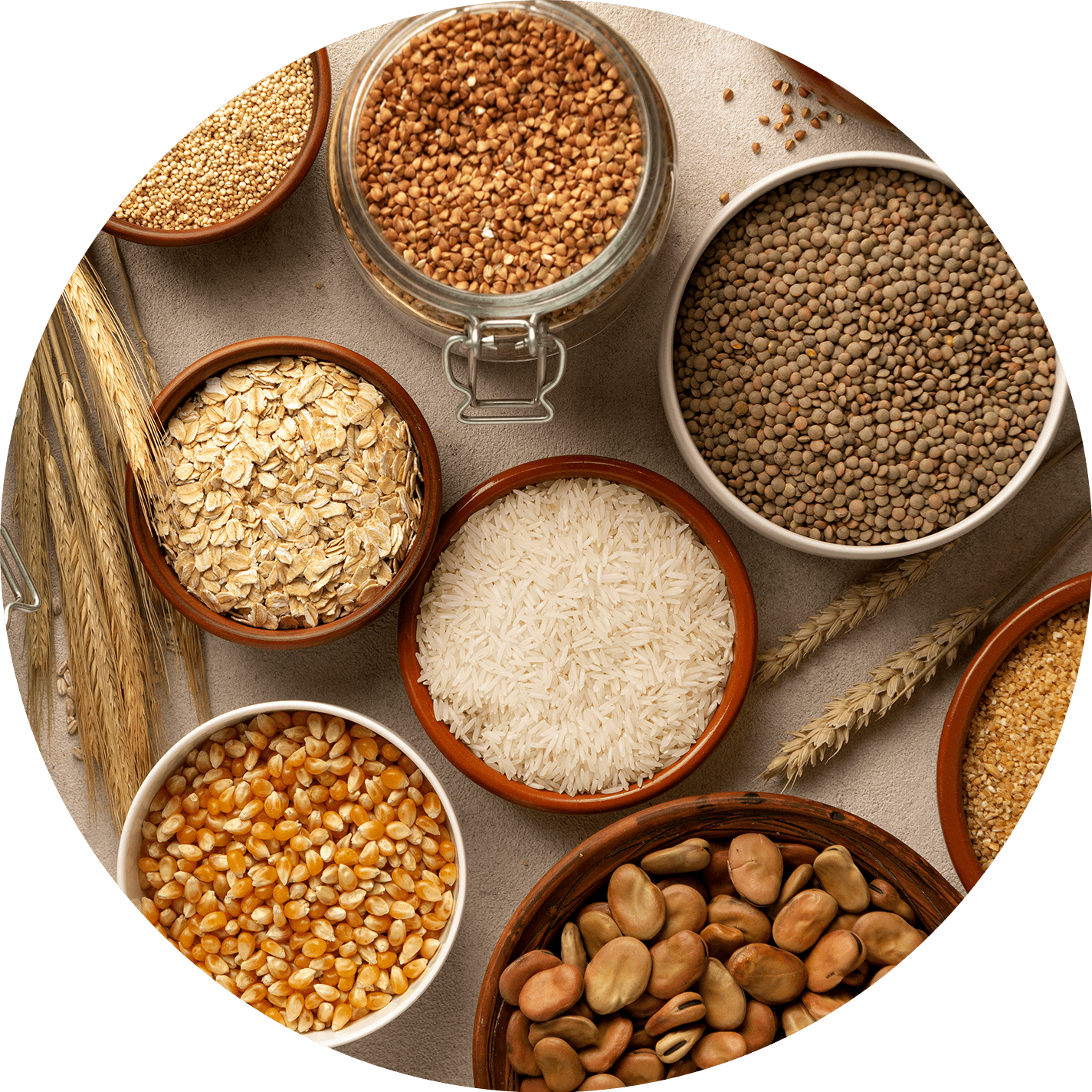 Multigrain