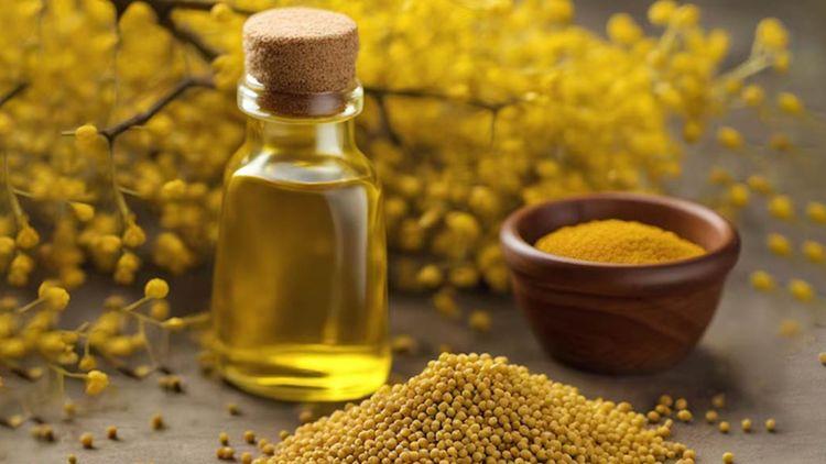 The Truth About Mustard Oil for Weight Loss Or Mustard Oil for Weight Loss: Proven Benefits or Modern Myths?