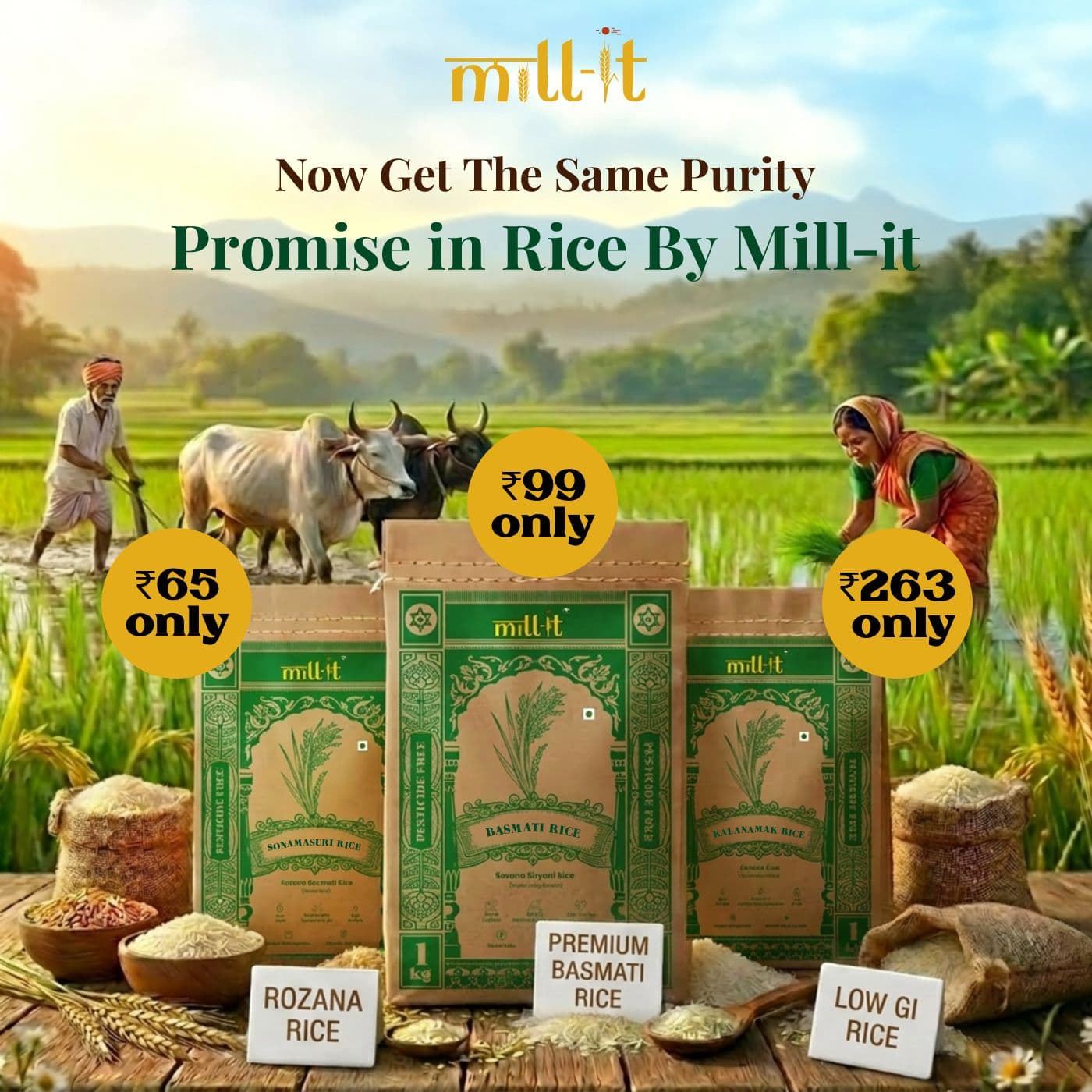 Rice